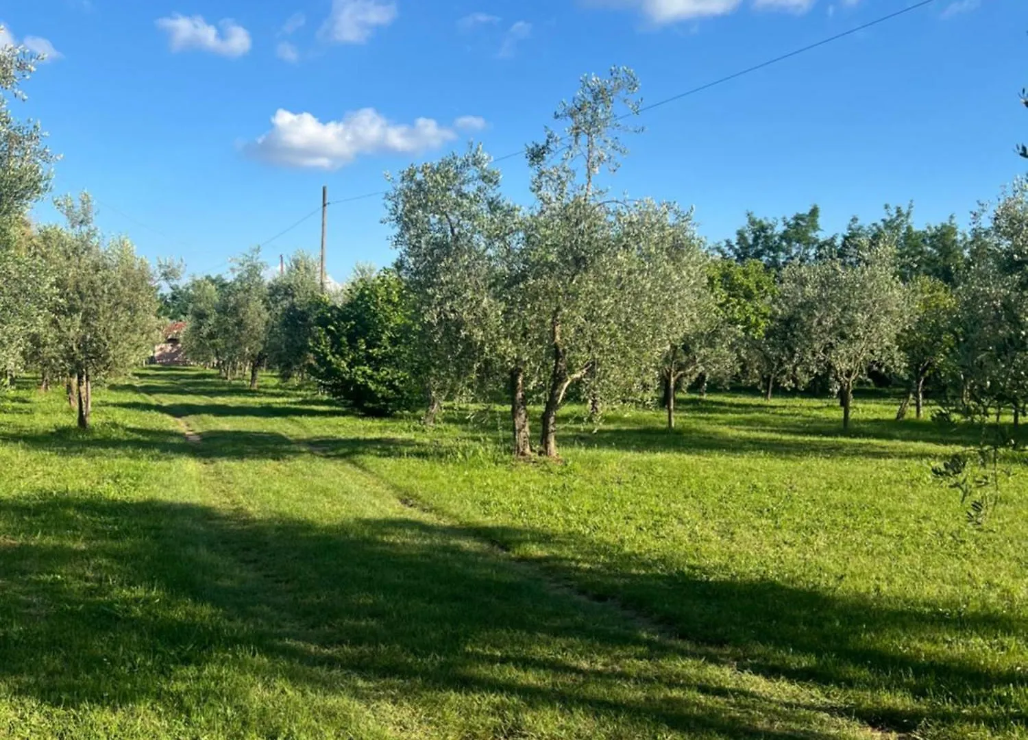 Il Tiglio Villa Pian Di Sco Holiday home