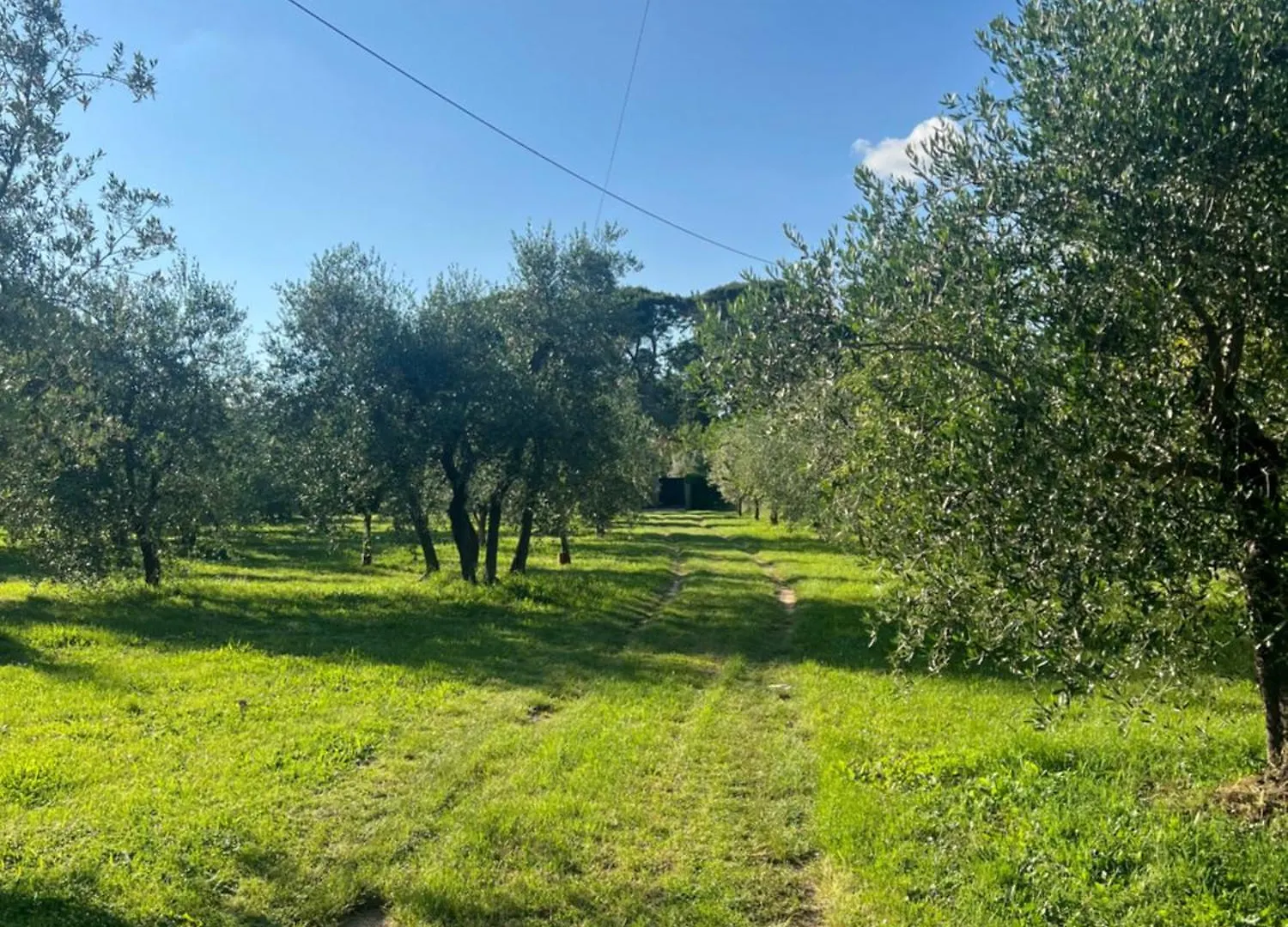 Il Tiglio Villa Pian Di Sco